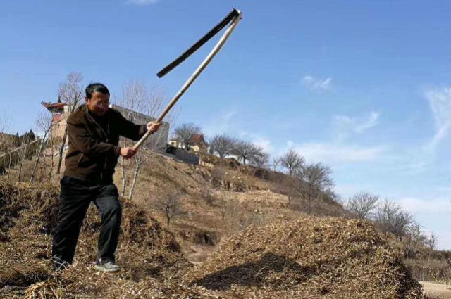 随着国家政策在不断变化 19年国家对农村户口