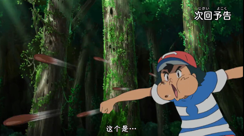 和摔跤鹰来了一场激烈的哲学交流(小智,不要啊,这个摔跤鹰就是逊啦,才