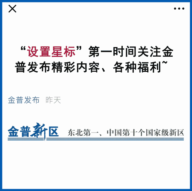 金普新区logo正式亮相!这个feel很"金普"!
