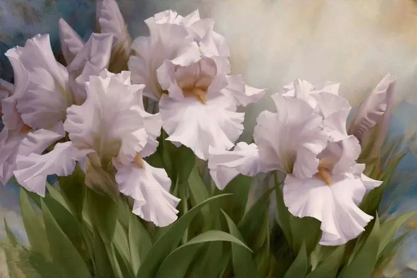 油画|这么美的油画花卉，真的惊艳到我了！