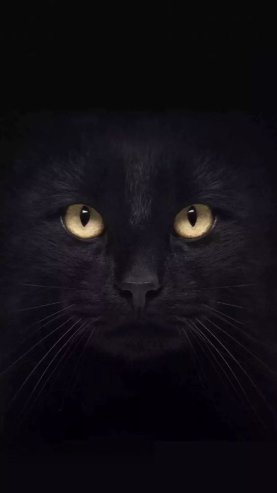 今天刷爆抖音的猫眼写轮眼开灯壁纸,全套给你找齐了