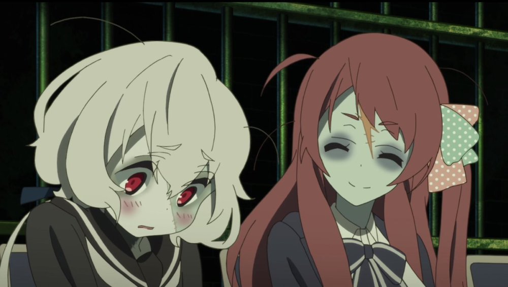 老司机课堂佐贺偶像是传奇的众生相