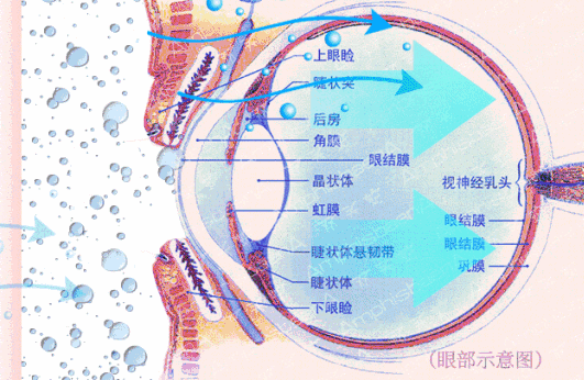 你的眼,我呵护.每日一次草本spa,唤醒明亮双眸!