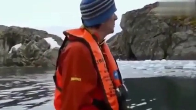 南极30米巨人到底是从哪里来的?整个人都不好了