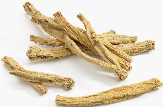 膜荚黄芪的根,具有补气固表,利水退肿,托毒排脓,生肌等功效