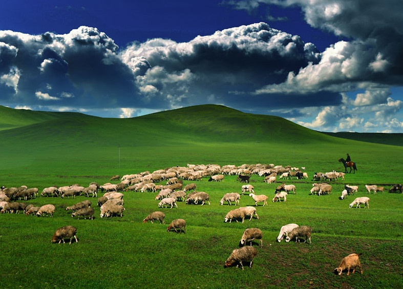 内蒙如何看待外蒙?内蒙人的回答很善良,获得网