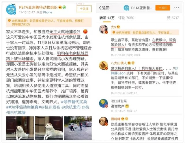 世界最大动保组织peta的伪善面纱下到底潜藏了什么