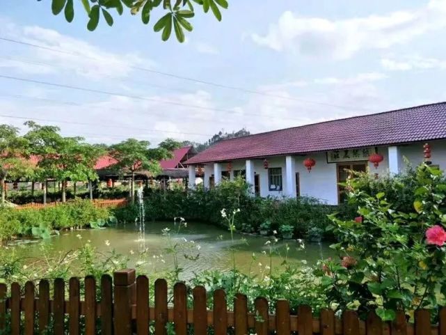 玉林附近有个原生态农庄,摘菜品茶烧烤