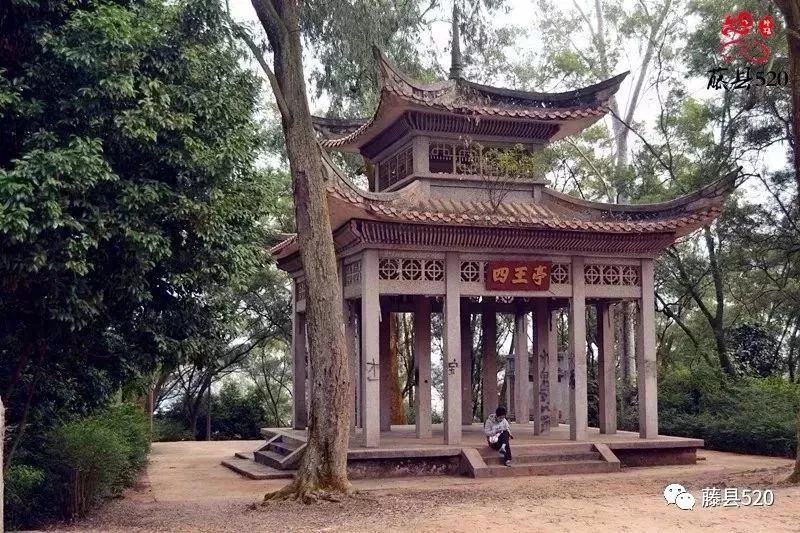 鸡谷山公园从19年6月份开始改造建设,目前已经成为众多藤县人每日打卡