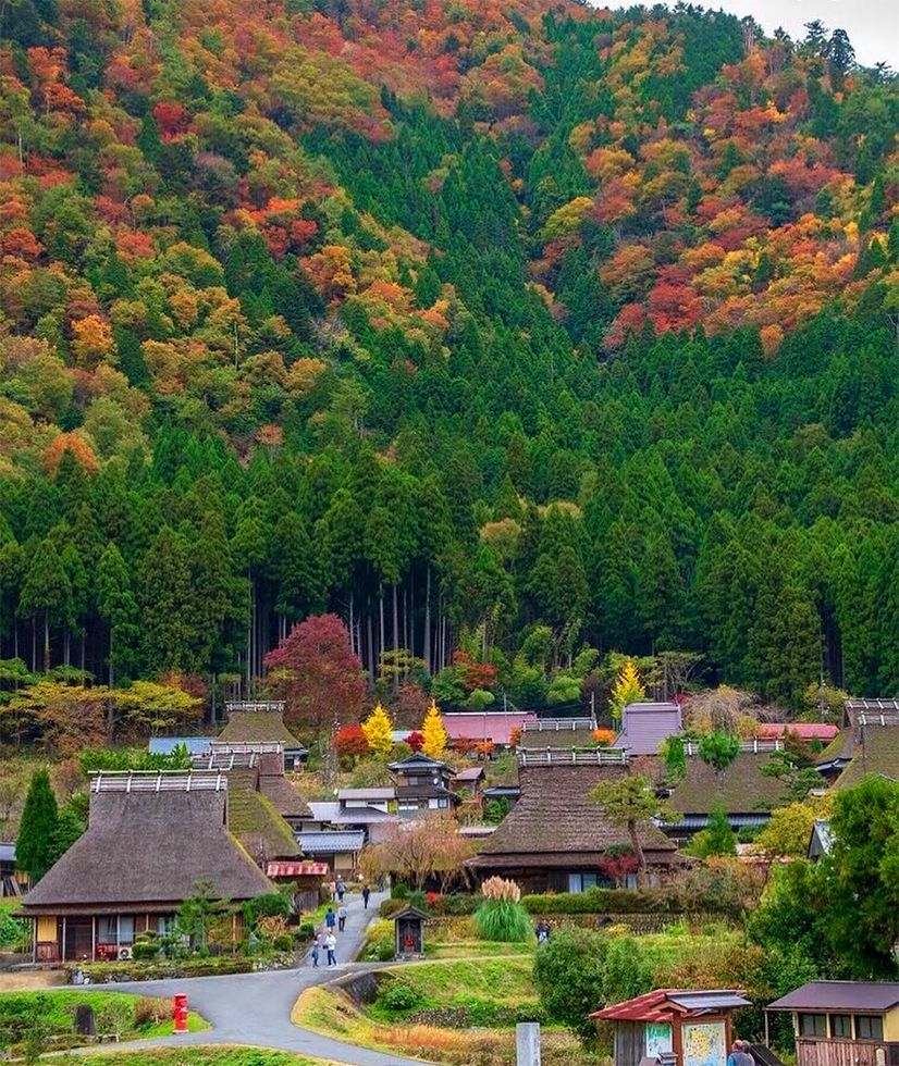 日本的農村為何能美得一塌糊塗