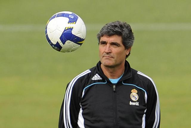 足坛金童被嫌弃的一生:伊布要打折他的腿 惹毛