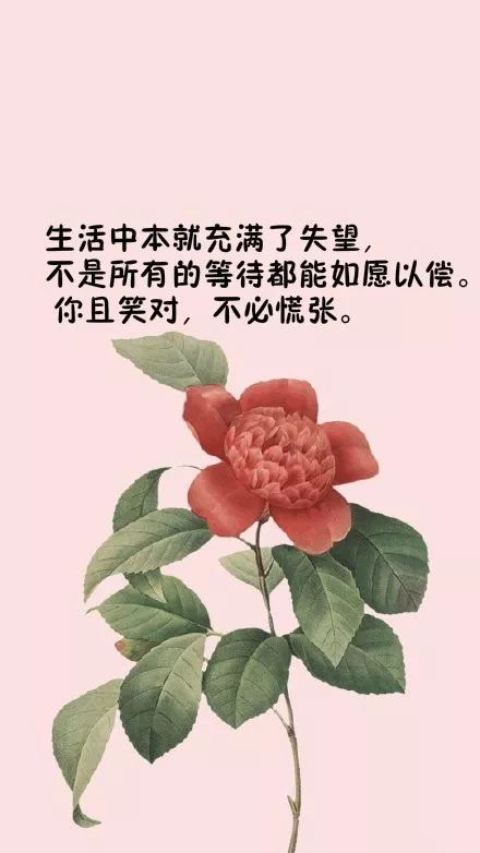 2021值得分享的人生感悟句子精辟有理深入人心