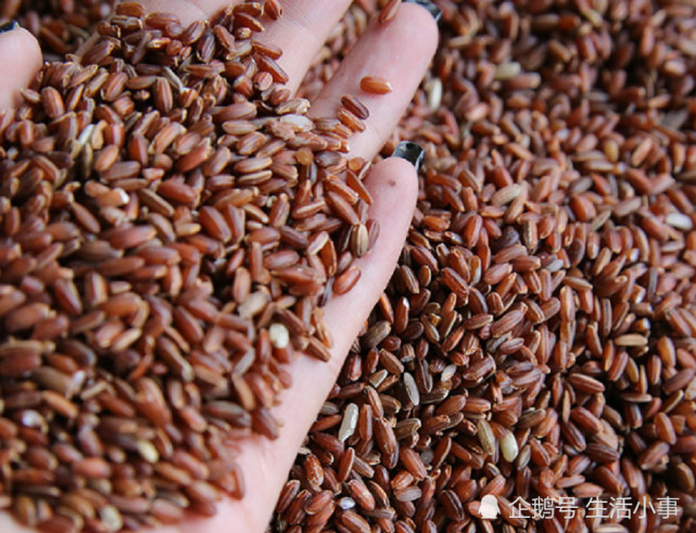 在我国河北的玉田县就有这样的一种大米,这种大米被人们叫做是"胭脂米