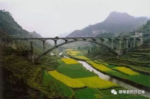 乌巢河大桥图片