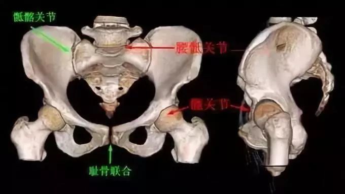 傳統武術的不傳之密開胯