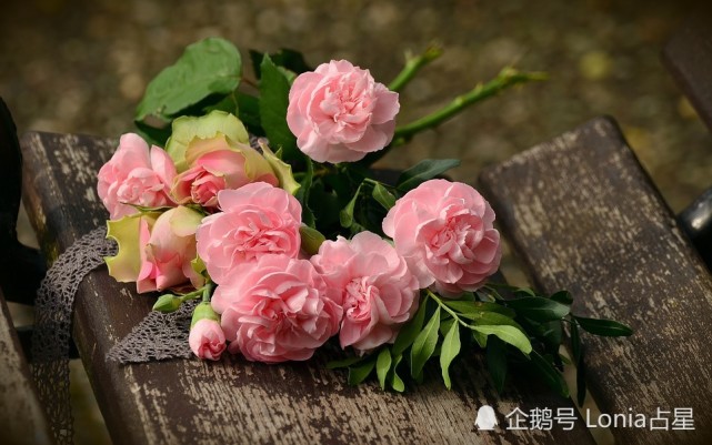 玛法达谈星12月6日至12月12日眼光长远渐入佳境 射手座 星座 天蝎座 水逆 财运 白羊座