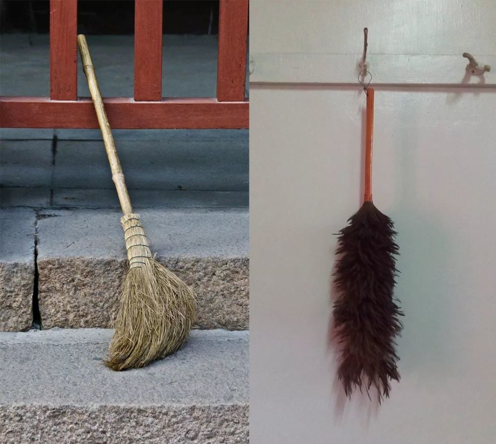 你知道吗扫帚可是从地里长出来的