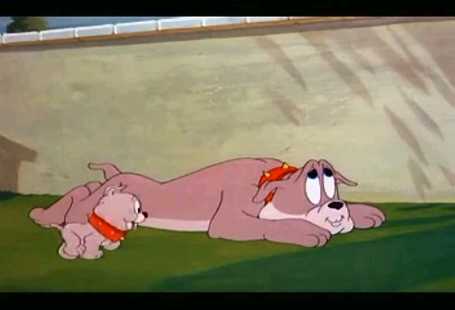 当然了,也正是因此,所以我们才会真的觉得斯派克就是对自己的儿子非常