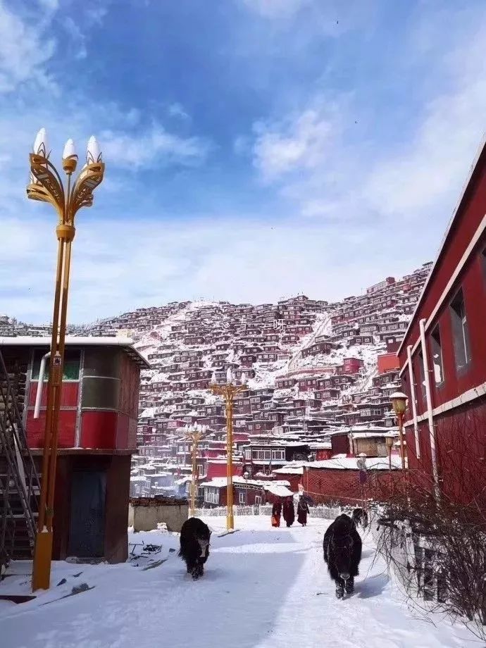 当色达下起了雪,全世界都安静了