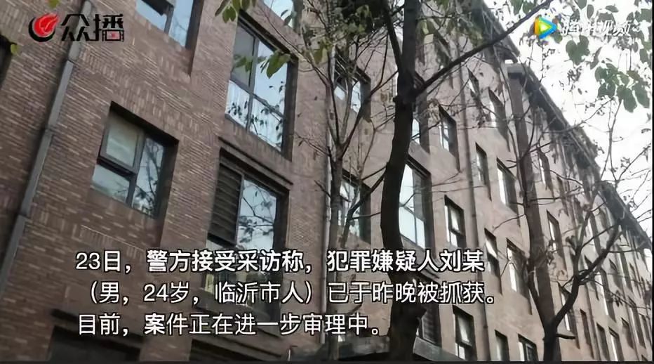 激烈争吵,伴随哀嚎 在校大学生持刀弑母 究竟
