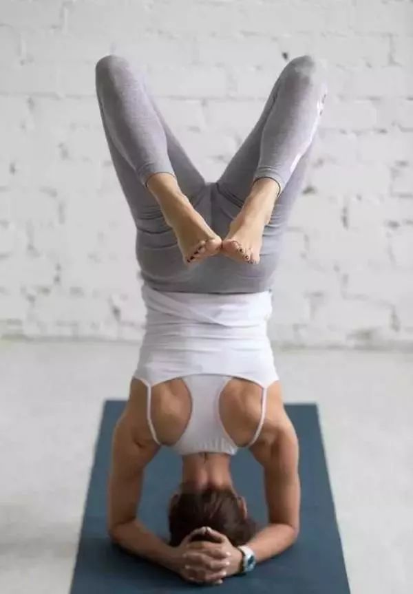 瑜伽手肘倒立, 比头倒立更需要肩膀,背部的稳定性, 尝试过你就发现,总