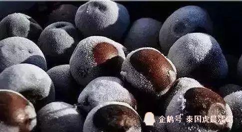 美食‖那些年我们吃过的东北街边冰冻美食,@