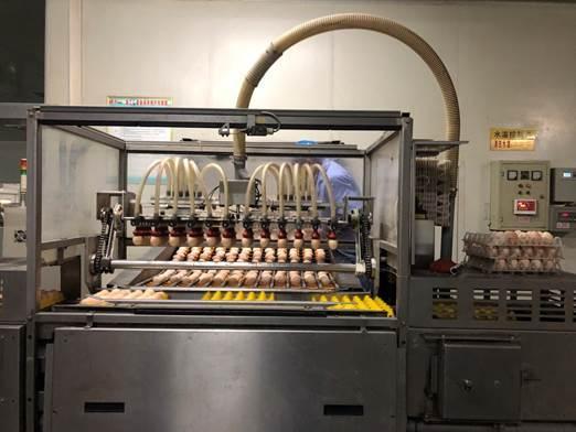 图为:鸡蛋自动吸附到生产线上,机器臂按个头大小进行分拣