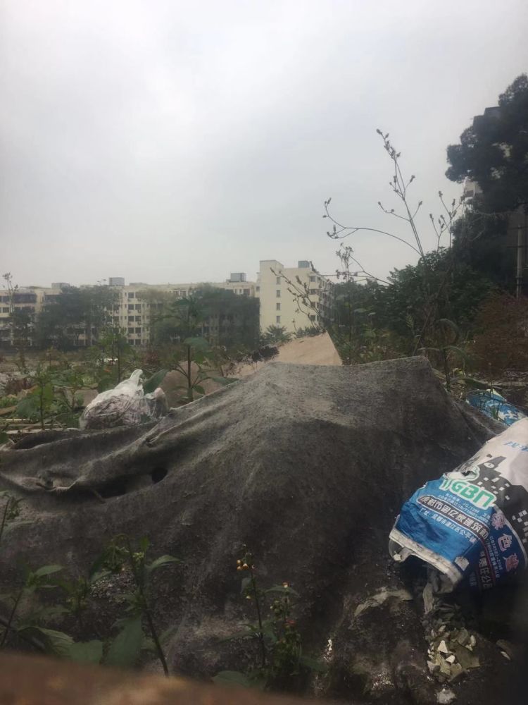 起拍价14124元\/平米!成都史上最贵住宅地块出