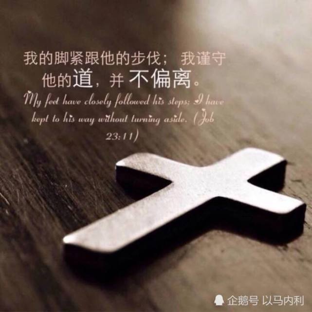 约11:41 他们就把石头挪开.耶稣举