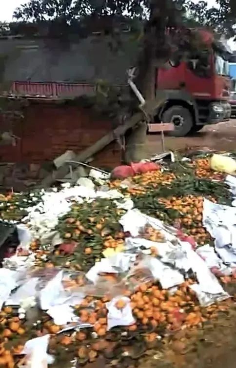 桂林果农有难?桔子5毛\/斤没人要,竟烂在路边堆