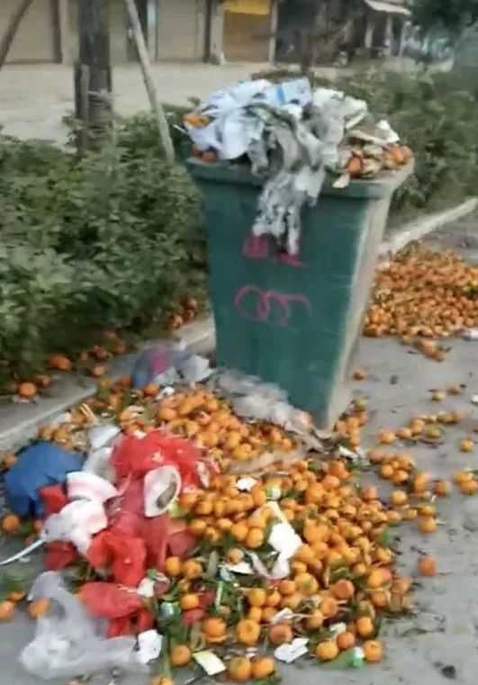 桂林果农有难?桔子5毛\/斤没人要,竟烂在路边堆