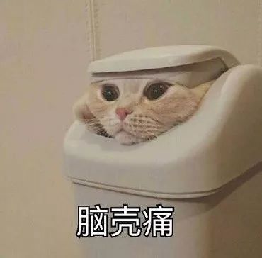 南京宠物航空箱