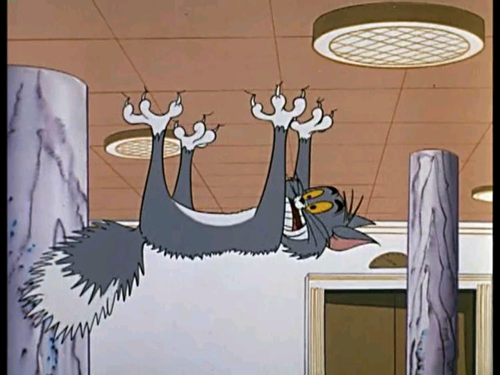 猫和老鼠:为了逃命连猫皮都不要了,汤姆:猫皮没有我的小命重要!