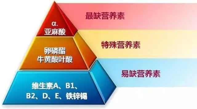 欧米伽-3|欧米伽-3有国际宣传日，你知道吗？