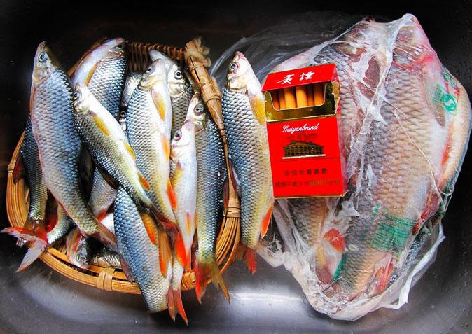 看我钓获这么多漂亮的红尾巴鱼,钓友们一定会