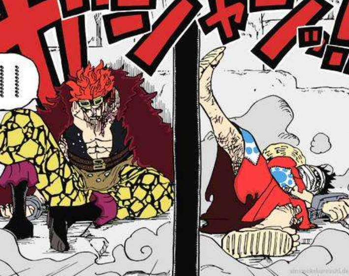 尾田公布马尔科生命卡,28亿战力营救路飞,不死鸟坐实最强皇副