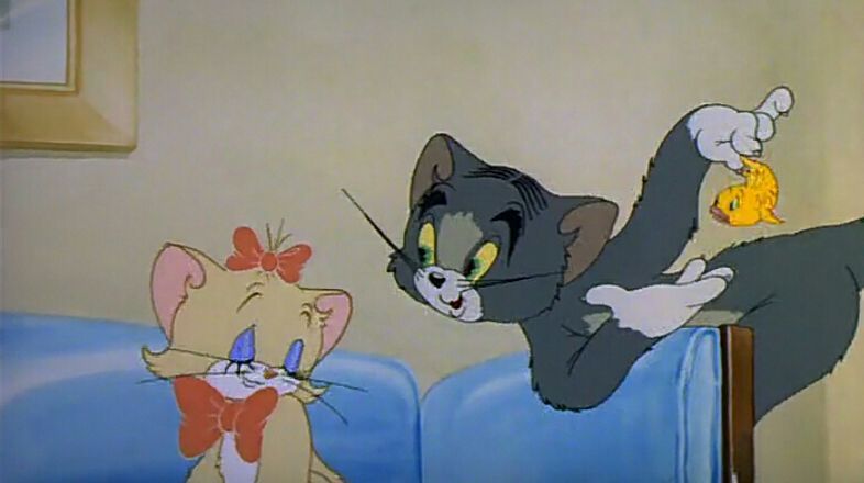 猫和老鼠汤姆真倒霉喜欢的母猫全都给杰瑞给亲了