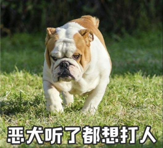 大学教授称盗将行歌词狗屁不通,遭作者和粉丝围攻谩骂