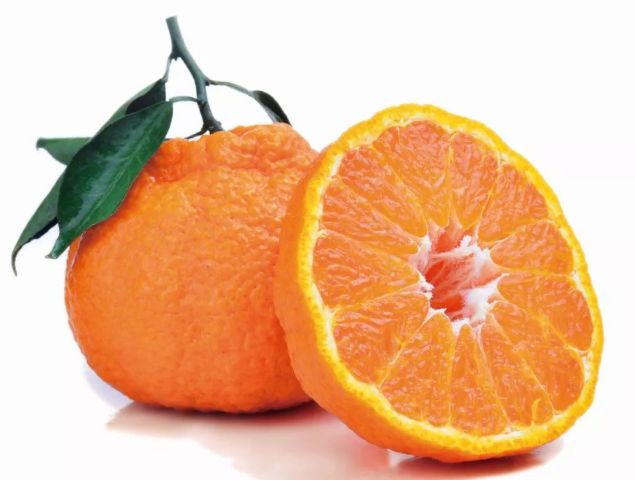 丹棱又上央视啦!cctv7《农广天地》再度聚焦