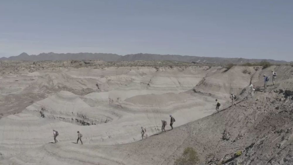 魅力阿根廷 1-2|自然的印记 22：00【魅力阿根廷 1-2】