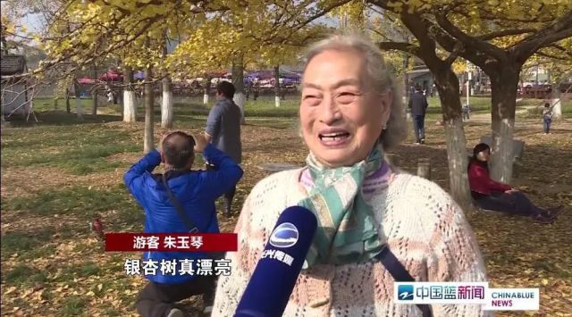 Ta可能是浙江秋天最美的地方,古道、