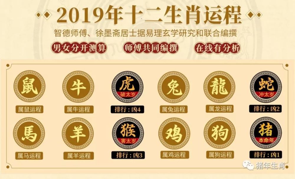 猪年运势:2019年12生肖如何求官运?