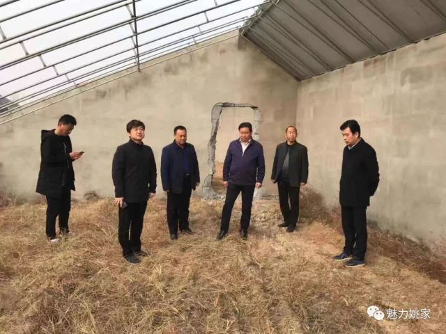 姚家镇积极做好大棚房整治验收工作