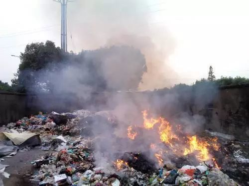 莆田市非洲猪瘟疫情最新消息!