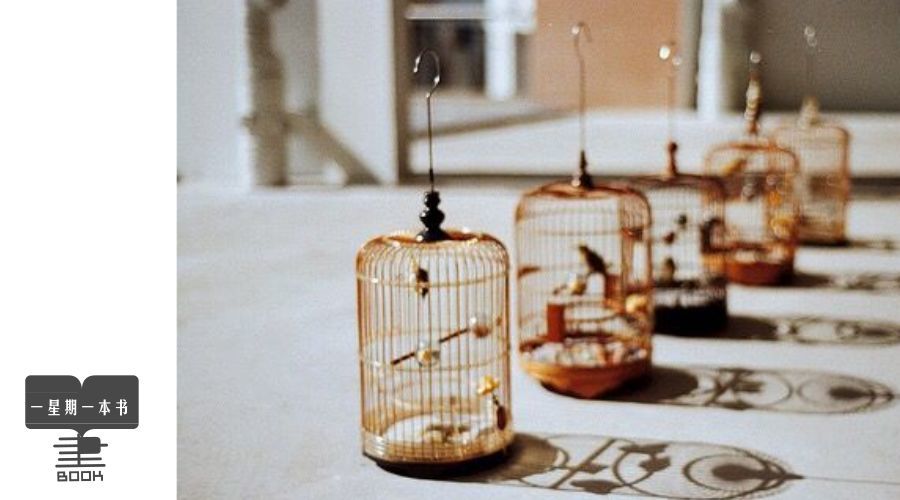 董卿:这样说话的人,一定不要深交