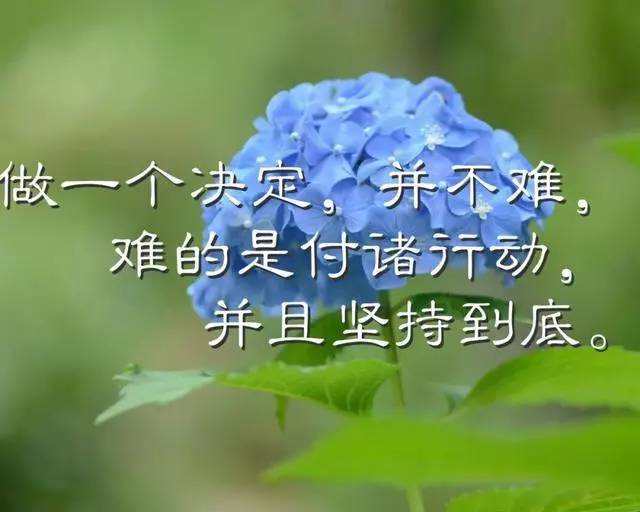 励志感悟20句:感悟人生的句子,句句精辟有道理