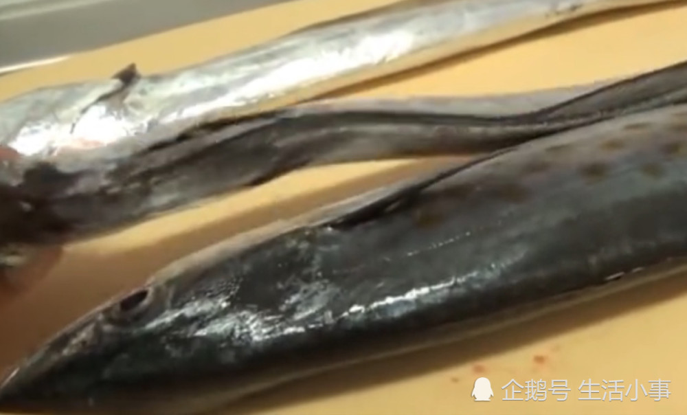 海鲜市场上的带鱼,是野生的还是人工养殖的呢