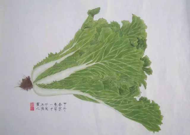 白菜畫好美