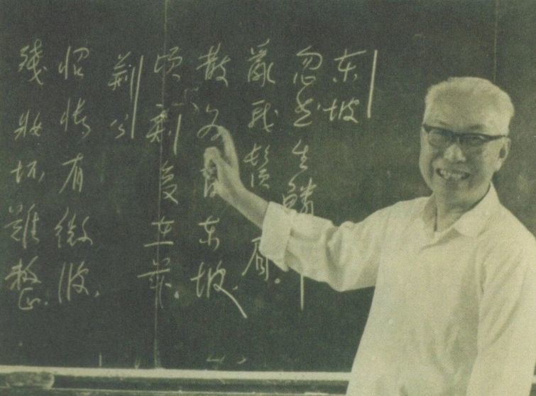 张伯伟|张伯伟：我们需要什么样的文学教育