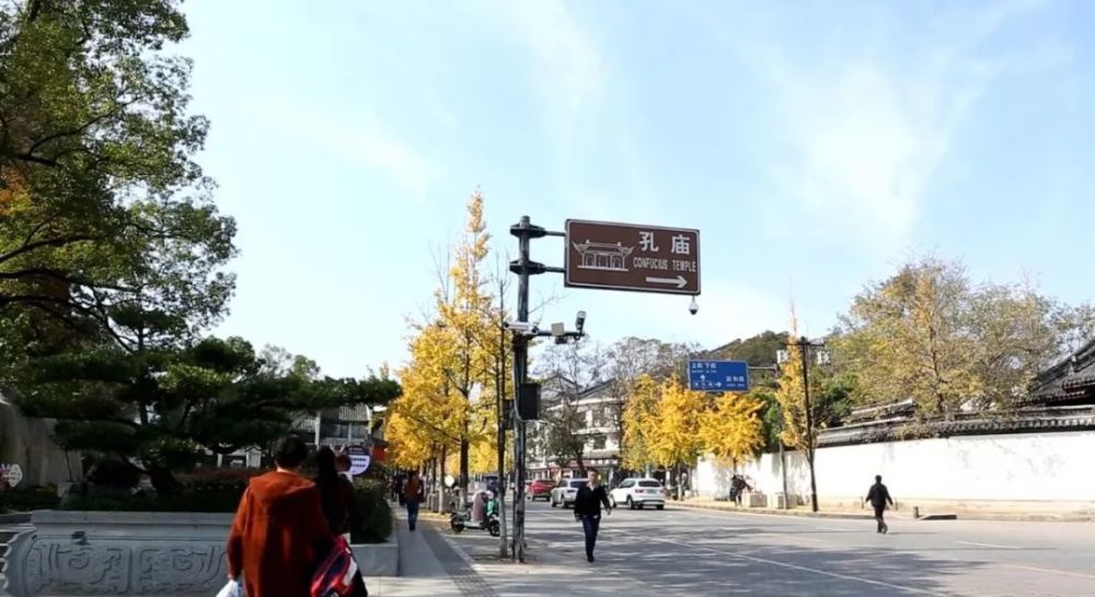 落叶不扫更浪漫!衢城这些最美落叶大道等你来